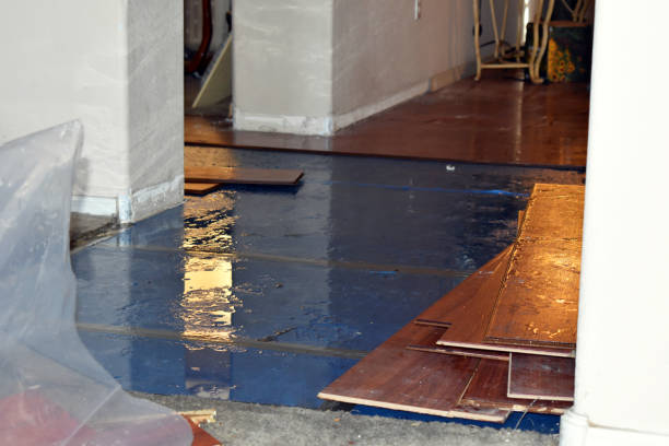 Professional Basement Flood Cleanup technician working in Swanton, OH